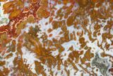 Wingate Pass Plume Agate Section - California #114843-1